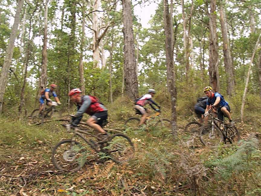 Otway Eco Tours, Forrest, VIC