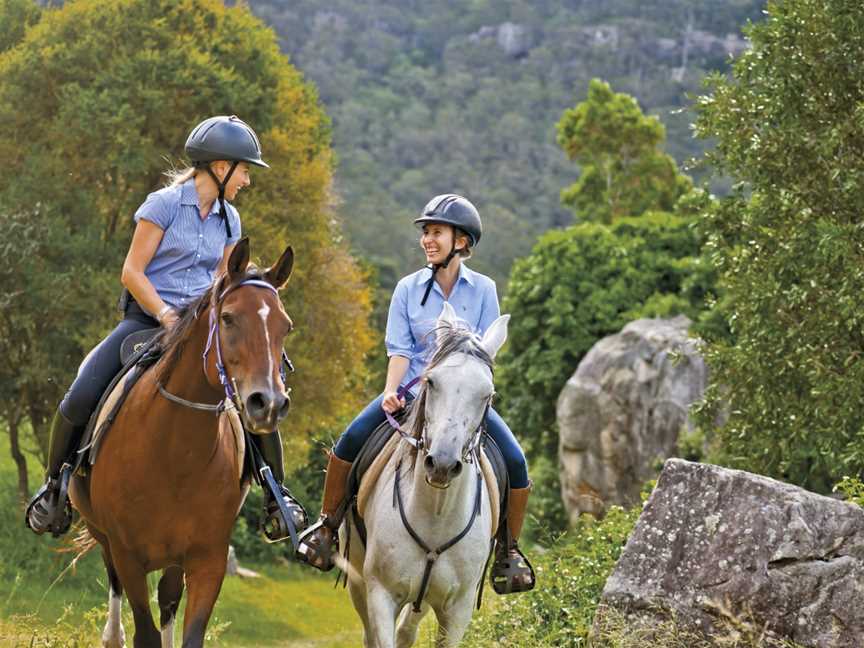 Apple Isle Wine Tours, Hobart, Tas