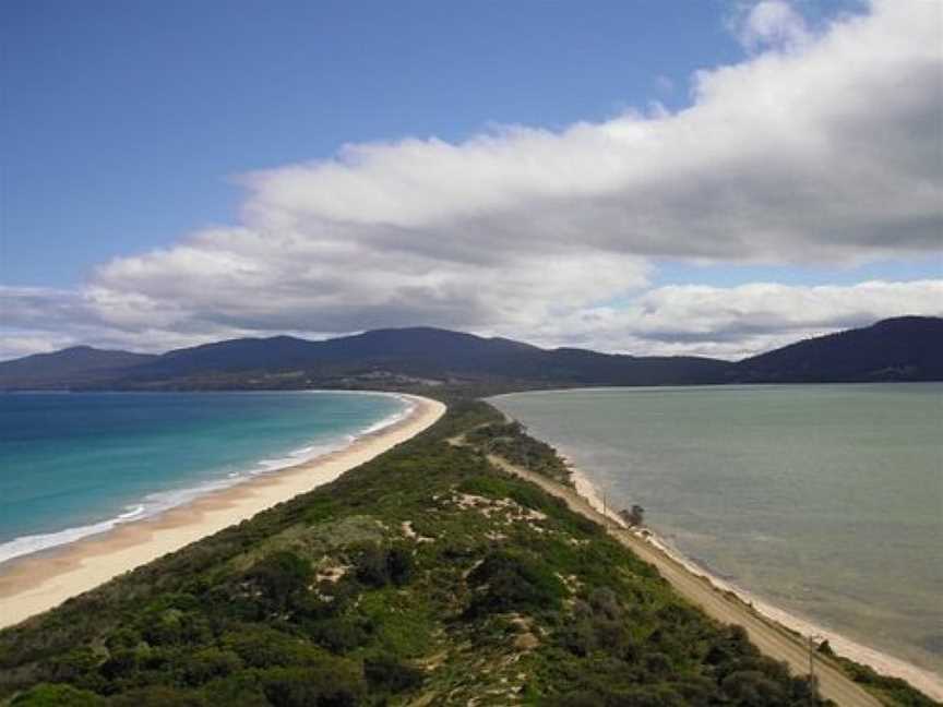 Bruny Wildlife Adventure, Hobart, Tas