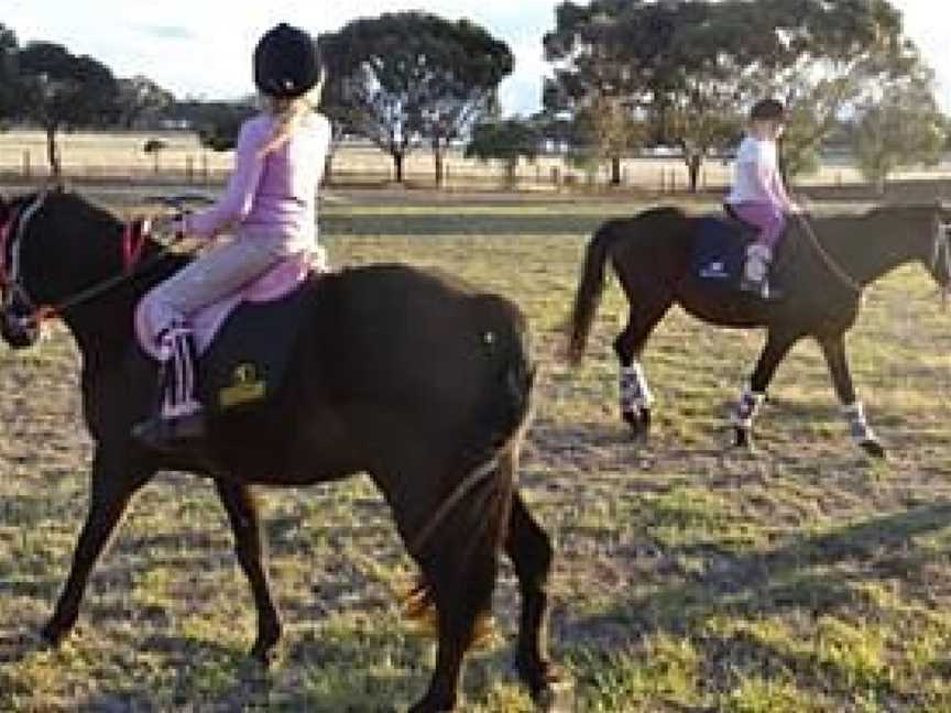 Barossa Equestrian Academy, Seppeltsfield, SA