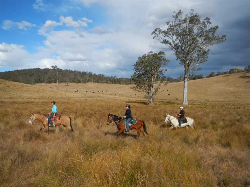 Chapman Valley Horse Riding, Howes Valley, NSW