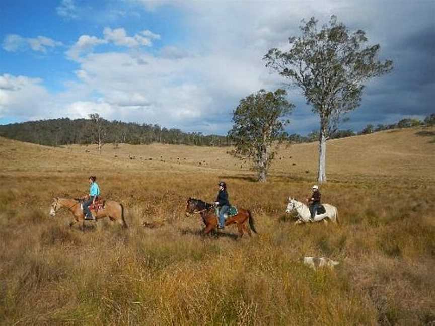 Chapman Valley Horse Riding, Howes Valley, NSW