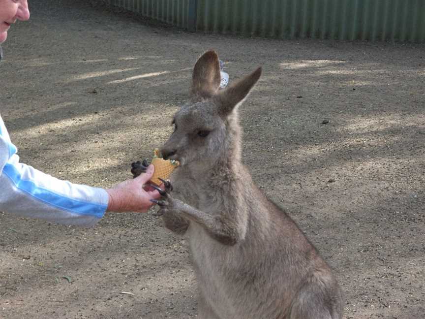 Activity Tours Australia, Sydney, NSW