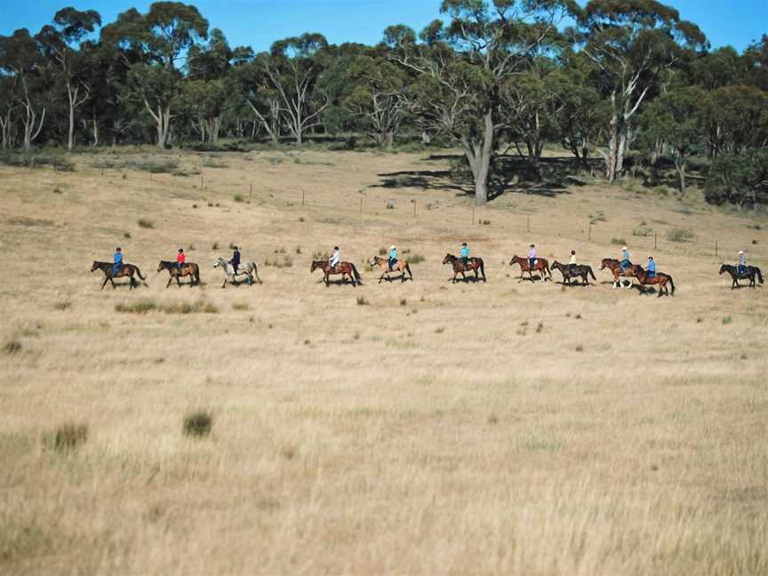 Burnelee Excursions on Horseback, Murrumbateman, NSW