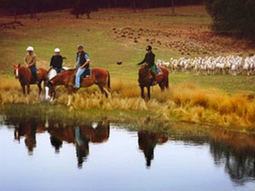 Burnelee Excursions on Horseback, Murrumbateman, NSW