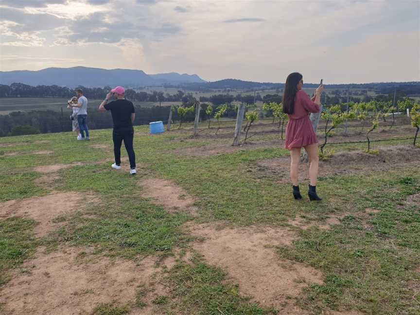 Group Wine Tours Hunter Valley, Newcastle, NSW