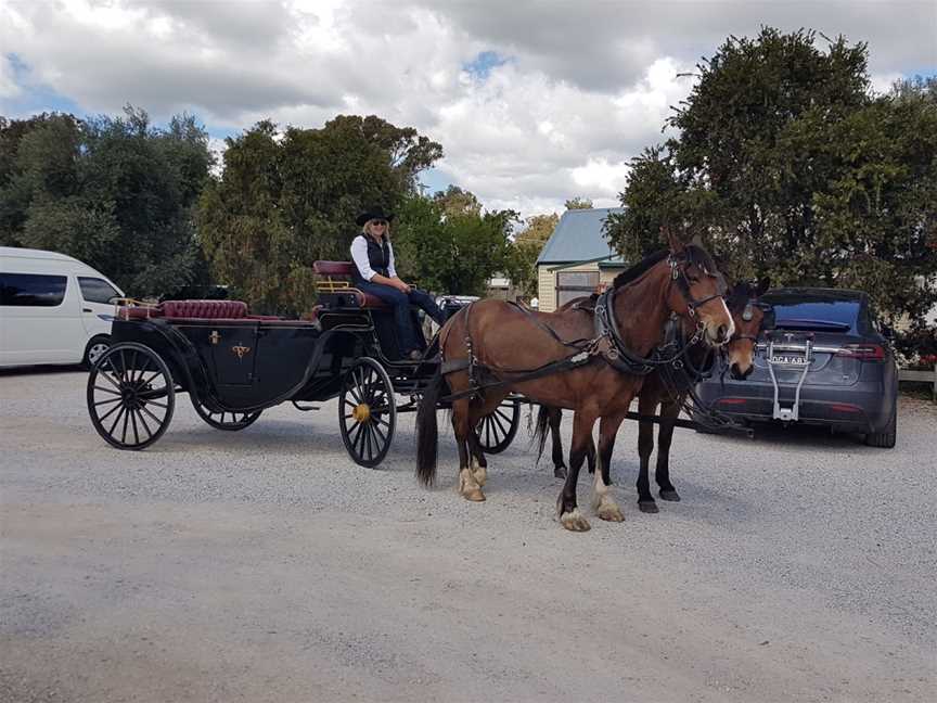 carriage rides, Mudgee, NSW
