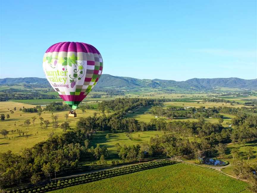 Hunter Valley Ballooning, Lovedale, NSW