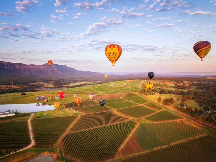 Balloon Aloft Hunter Valley, Lovedale, NSW