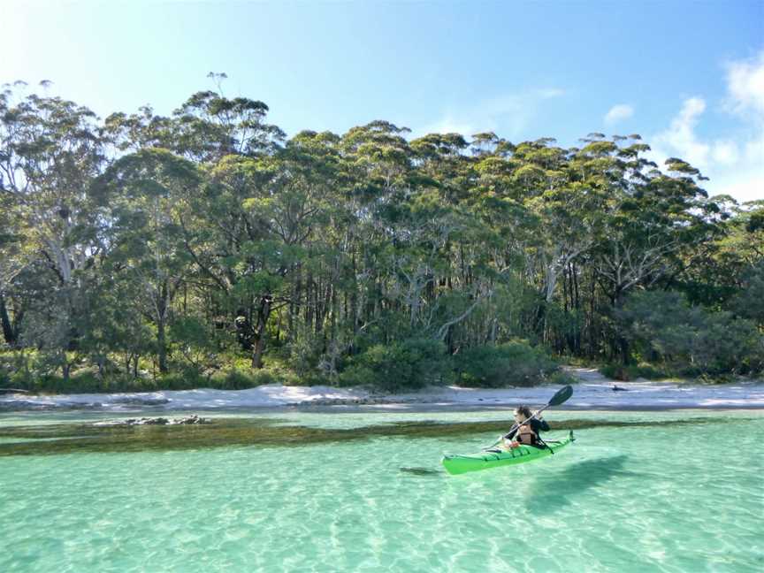 Sea Kayak Jervis Bay, Tours in Old Erowal Bay