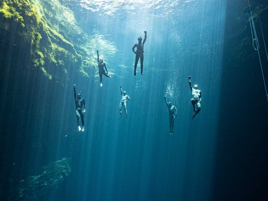 Freediving Family, North Bondi, NSW