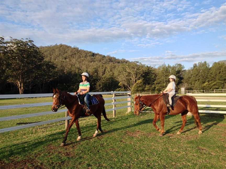 Kangaroo Valley Horses, Tours in Budgong