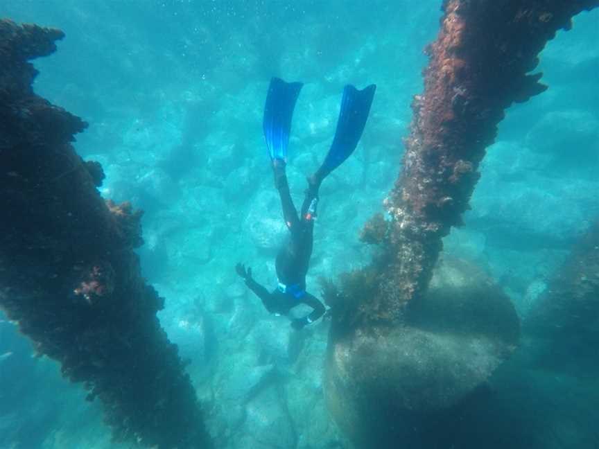 Dive Eden, Eden, NSW