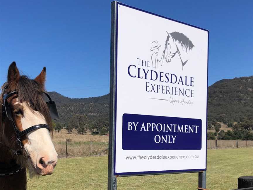 The Clydesdale Experience, Doyles Creek, NSW