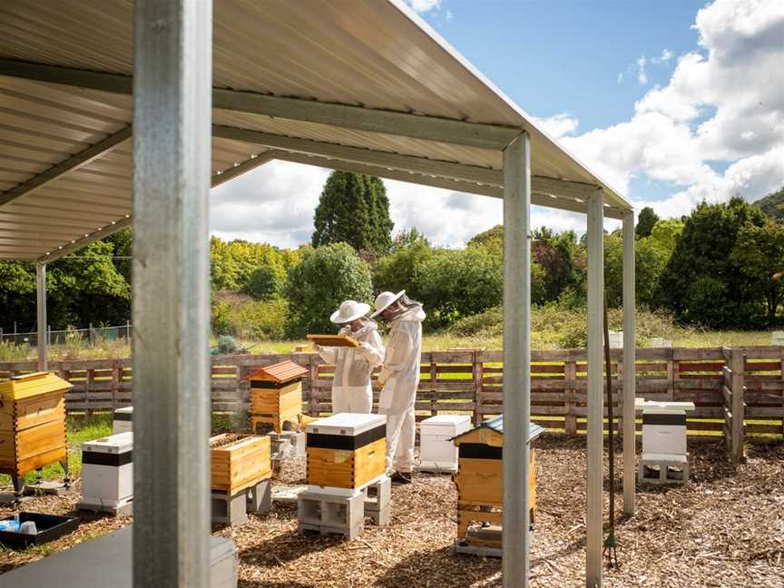 Bowral Beekeeping, Bowral, NSW
