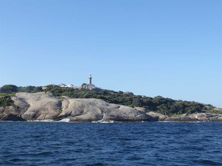 Montague Island Tours, Narooma, NSW