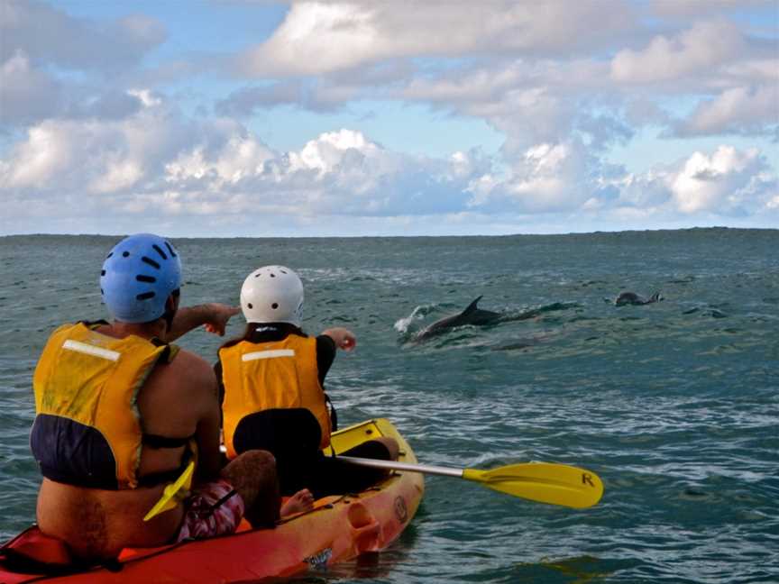 Go Sea Kayak Byron Bay, Byron Bay, NSW