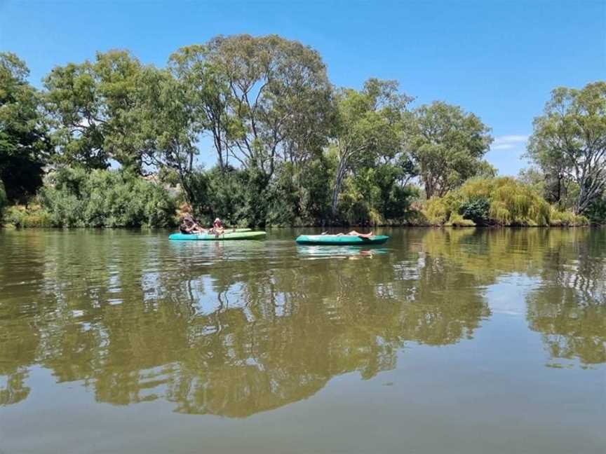 Canoe The Murray, Albury, NSW
