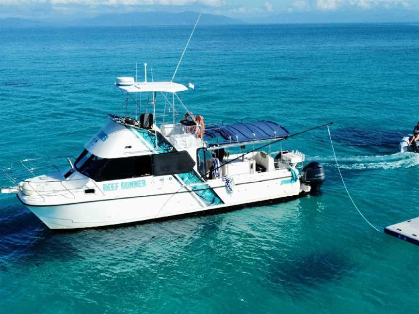 REEF RUNNER CHARTERS, Cairns City, QLD