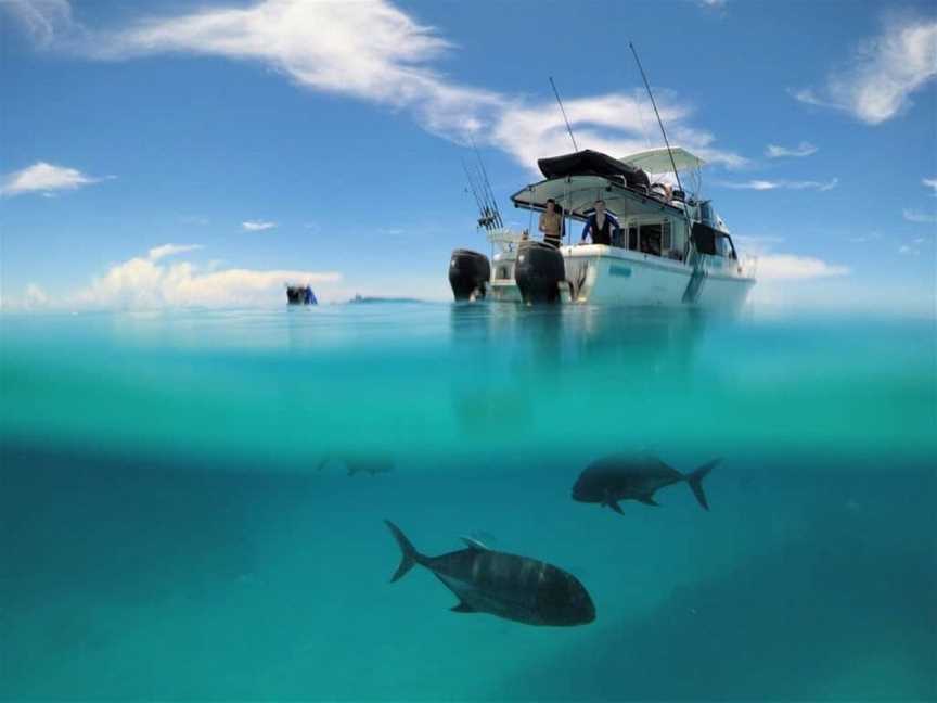 REEF RUNNER CHARTERS, Cairns City, QLD