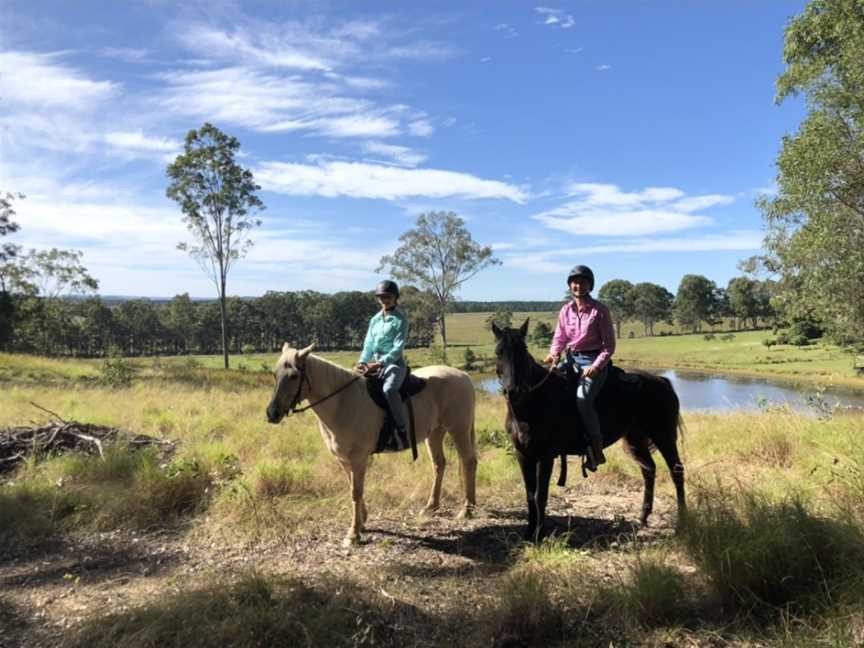 Horses With Holly, Wolvi, QLD