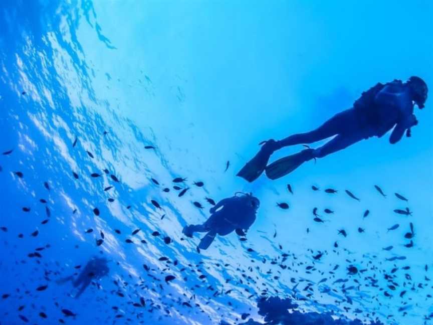 Liveaboard Diving, Tours in Cairns City