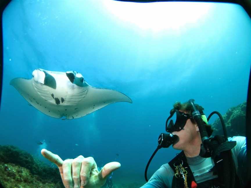 Manta Lodge & Scuba Centre, Point Lookout, QLD