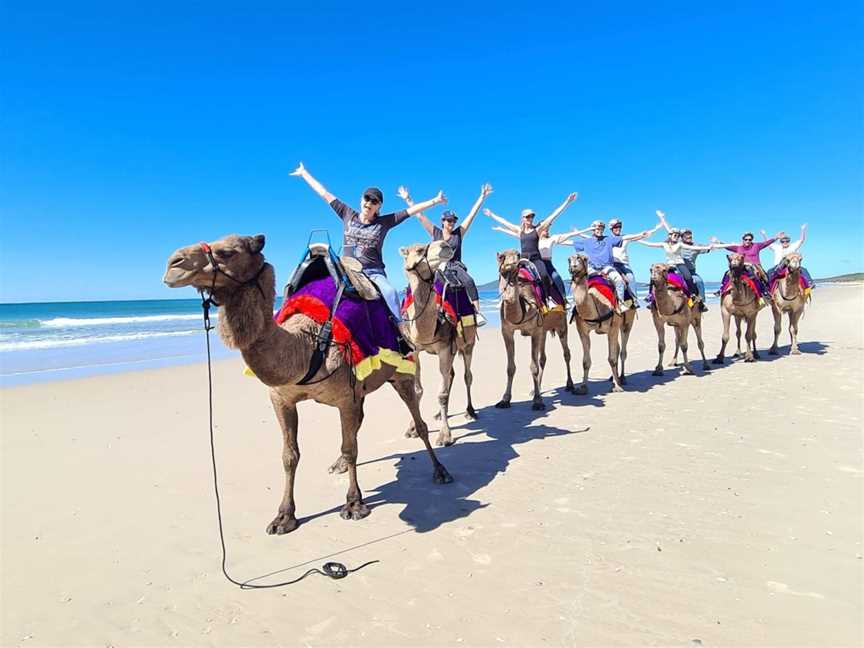 Noosa Camel Rides, Noosa North Shore, QLD