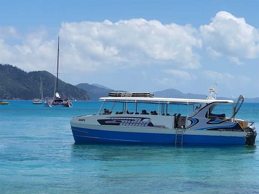 Whitsunday Bullet, Airlie Beach, QLD