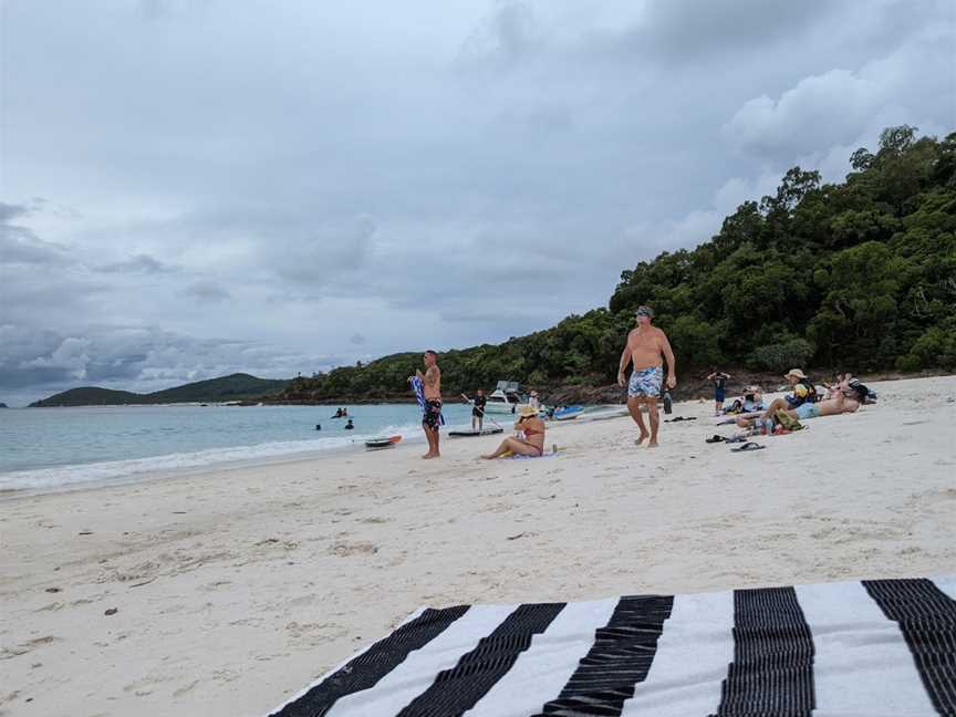 Whitsunday Bullet, Airlie Beach, QLD