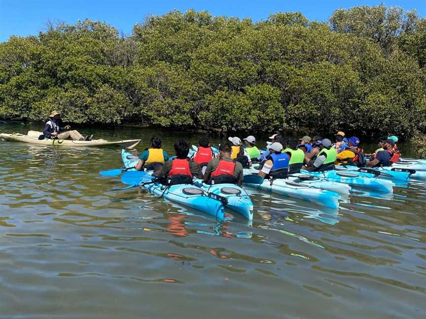 Dolphin Sanctuary Kayak Tours, Port Adelaide, SA