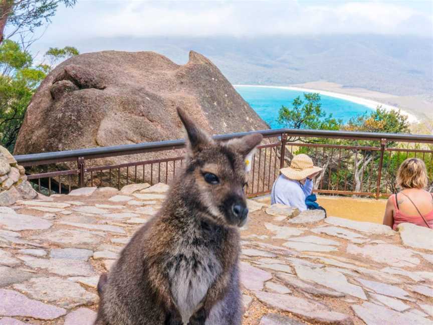 Wineglass Bay Discovery Tours, Hobart, TAS