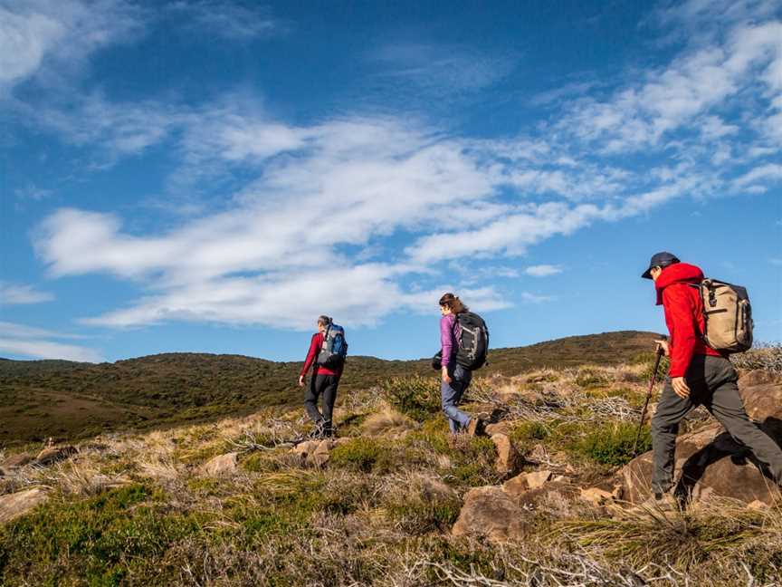 Bruny Island Guided Walks, South Bruny, TAS