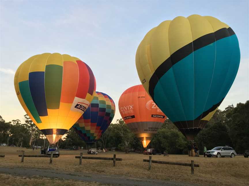 Picture This Ballooning - Melbourne, Ringwood, VIC