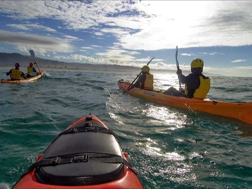 Apollo Bay Surf and Kayak, Apollo Bay, VIC