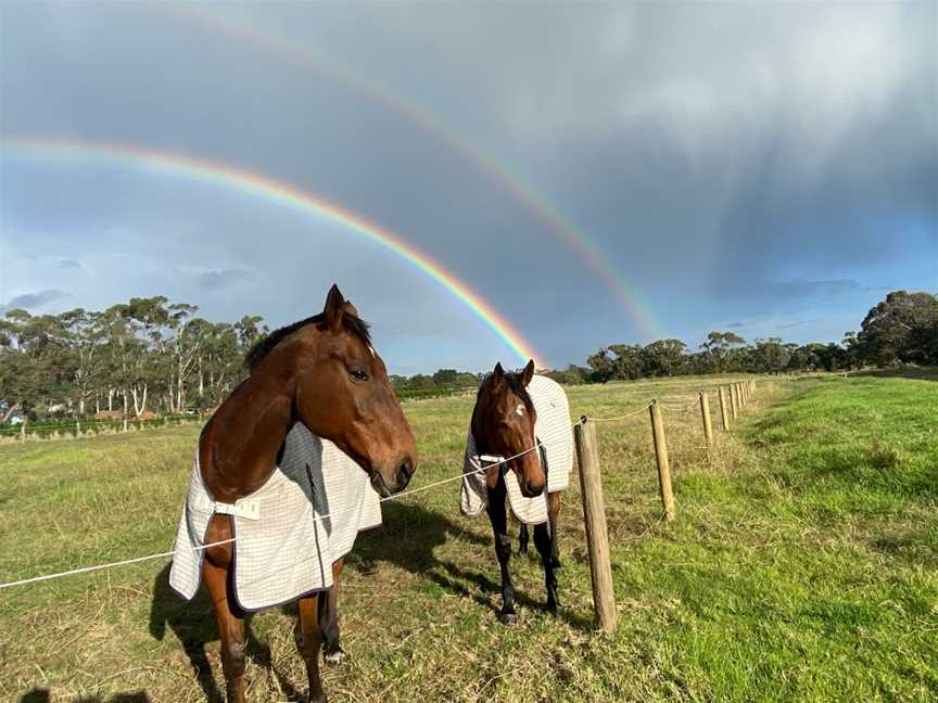 EVE Vaulting, Moorooduc, VIC