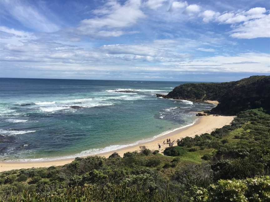 Great Ocean Walk Tours, Ivanhoe, VIC