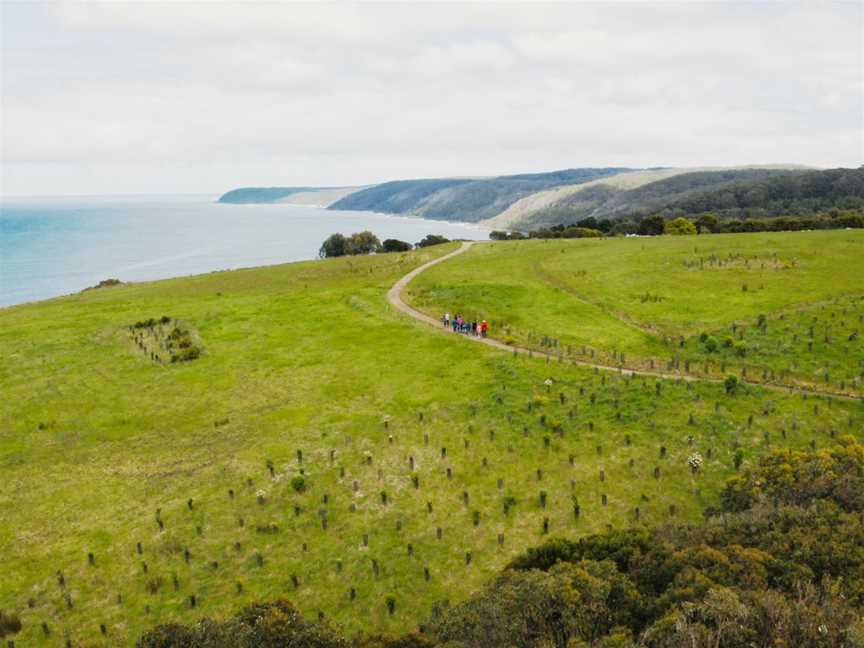 Wildlife Wonders, Apollo Bay, VIC