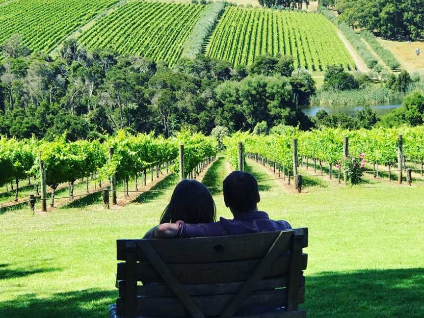 Mornington Peninsula Winery Tours and Transport, Capel Sound, VIC