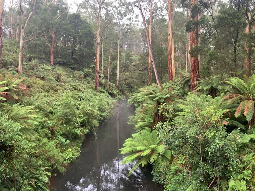 Mile Munchinâ€™ Adventures, Torquay, VIC