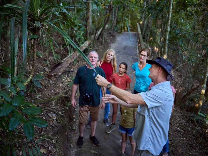 Wait-a-While Rainforest Tours - Nocturnal Rainforest Wildlife Tour, Cairns City, QLD