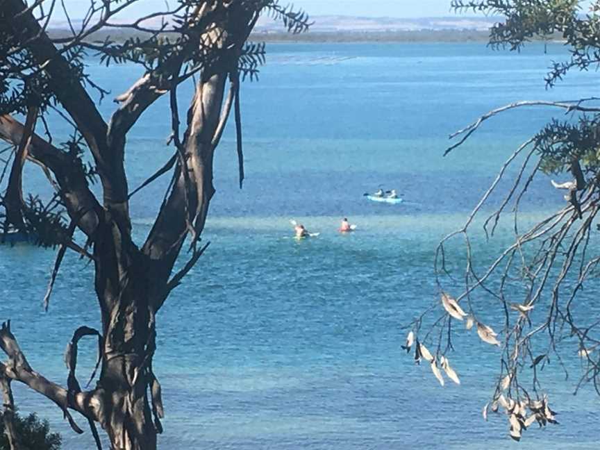 Kimberella Walking Tours, Coffin Bay, SA