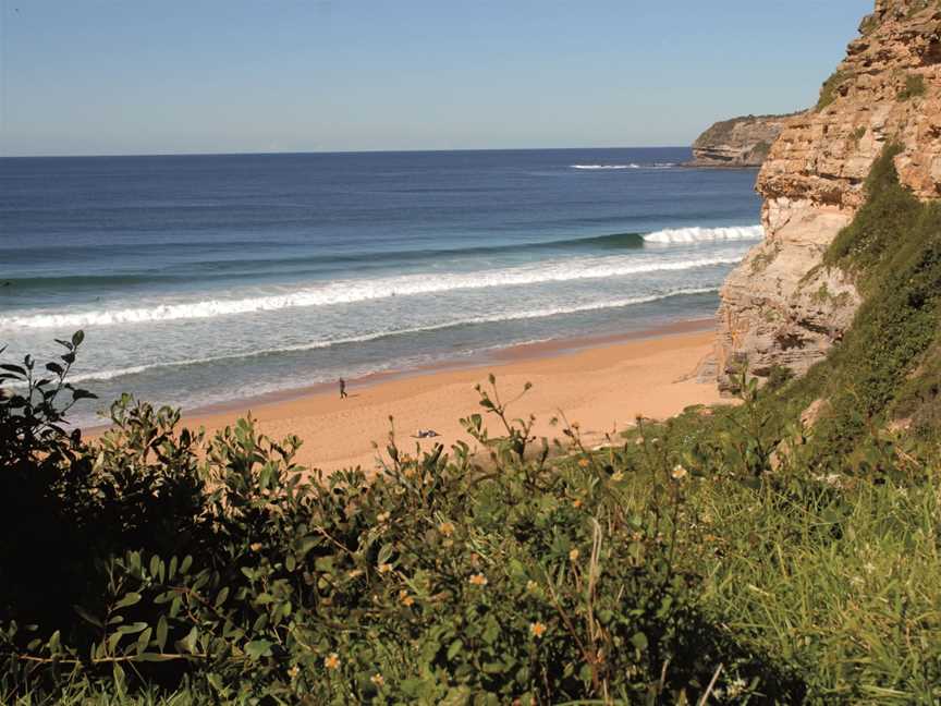 Manly Surf Guide, Brookvale, NSW