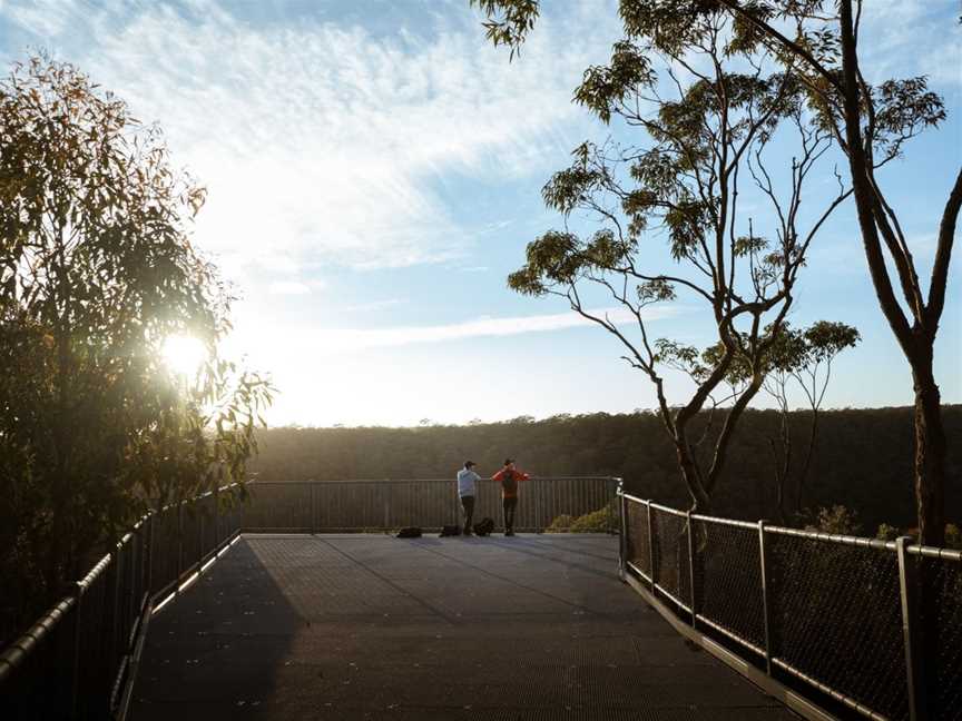 Guided Indigenous Walks in Dharawal National Park, Wedderburn, NSW