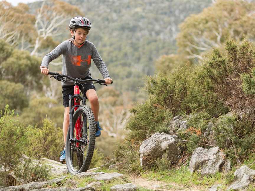 Guided Upper Thredbo Valley Track Tour, Crackenback, NSW