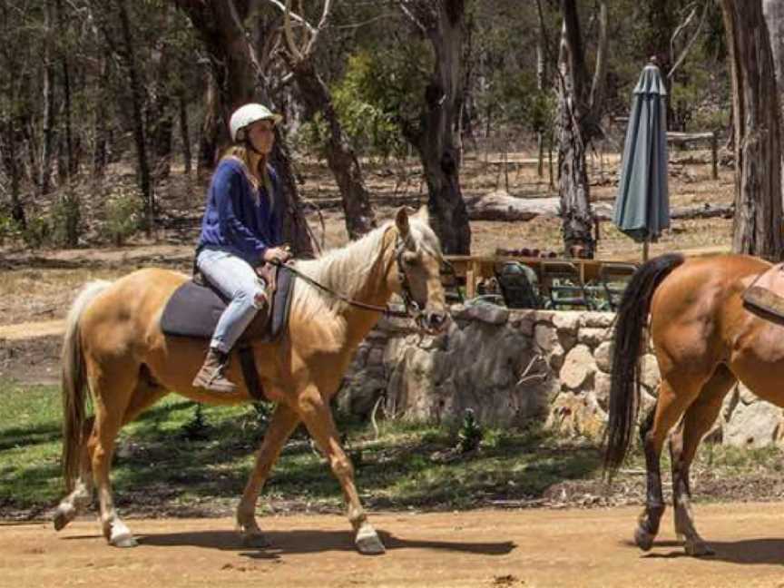 Spring Creek Horse Rides, Bellbrae, VIC