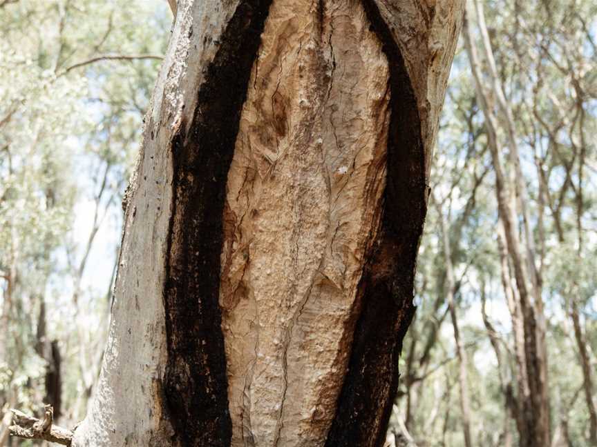 Sandhills Artefacts Cultural Tours, Narrandera, NSW