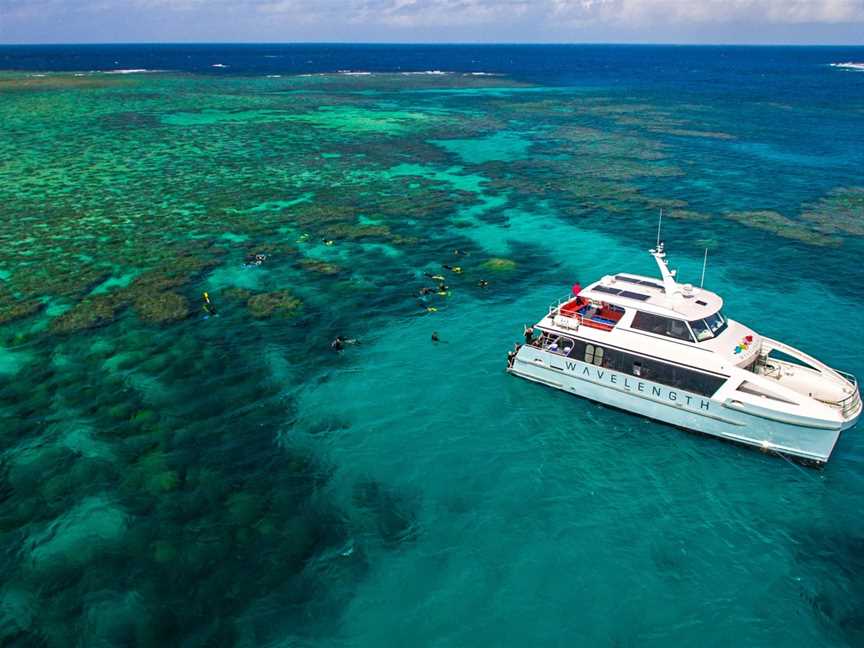 Wavelength Reef Cruises - Full Day Outer Reef Snorkel Tour, Port Douglas, QLD