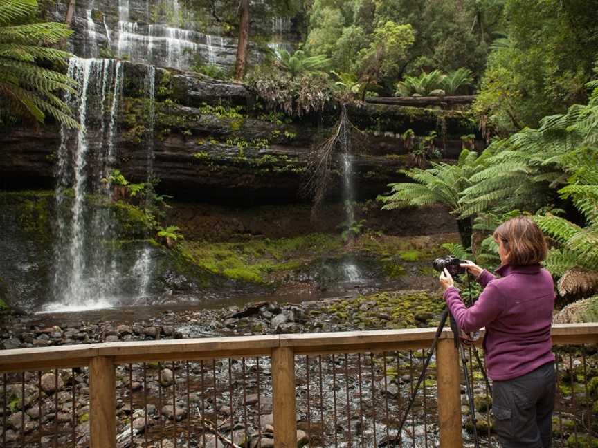 Private Photo-oriented Nature and Wildlife Tours from Hobart - Shutterbug Walkabouts Tasmania, Hobart, TAS