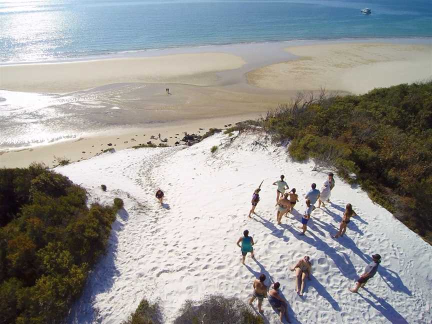Remote Fraser Island and Whale Experience - Tasman Venture, Hervey Bay, QLD